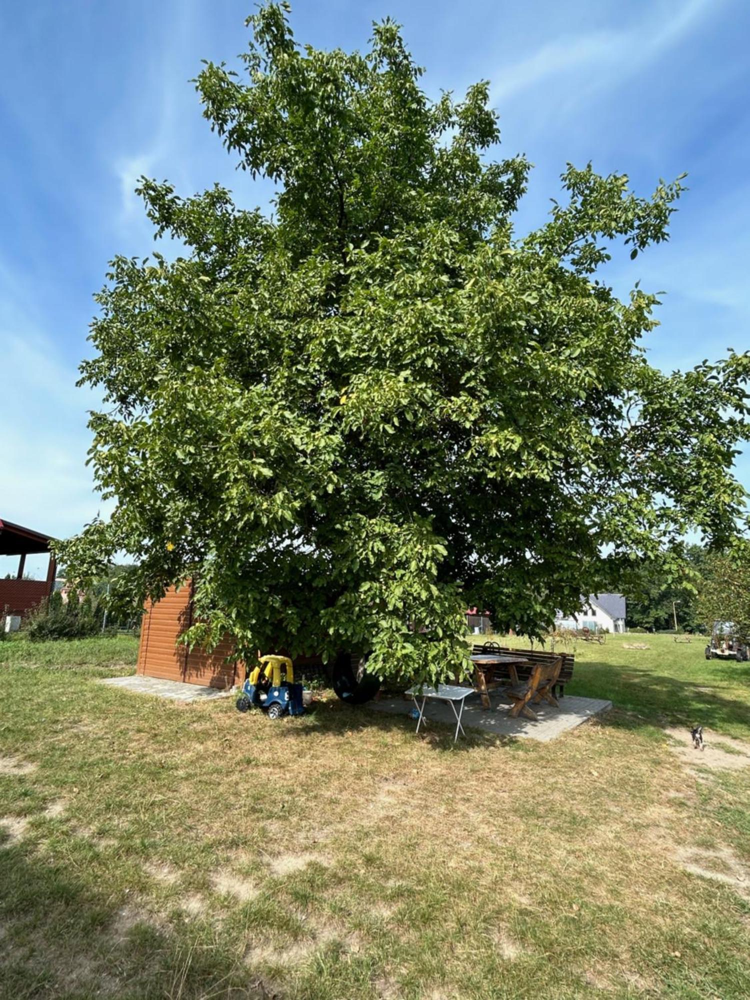 Agroturystyka U Krystyny Moryn Exterior foto
